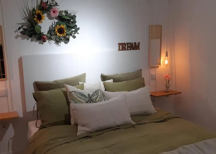 Sg La Casa De Carlos Vut47-229 Apartment *